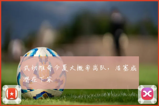 武切维奇今夏大概率离队，活塞成潜在下家